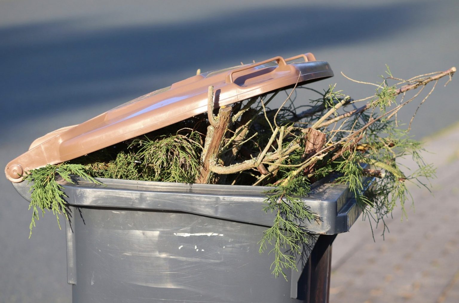 cheltenham township burning garden waste