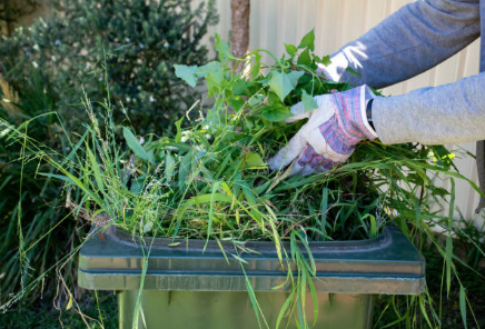 General Waste Skip Bins - Green waste