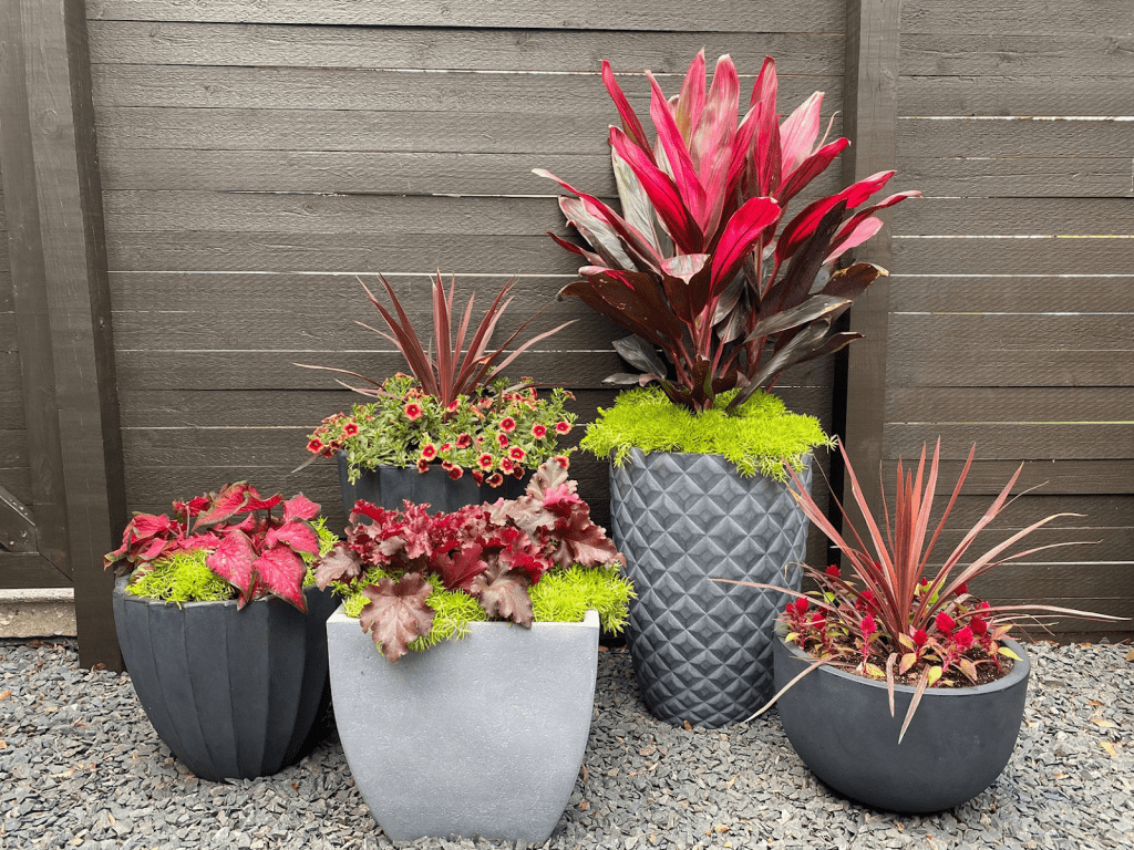 small backyard landscaping ideas - potted outdoor plants