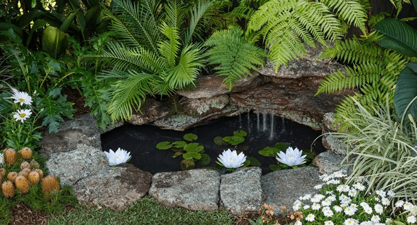 small backyard landscape ideas - add a small pond