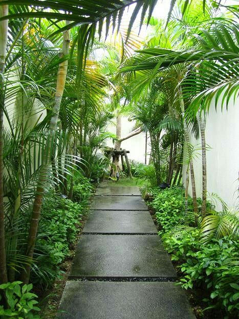 side of house landscaping idea - Tropical jungle at home