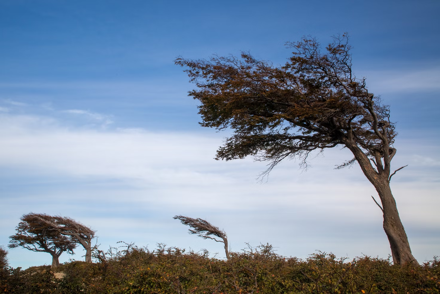 high wind safety checklist - high winds adelaide