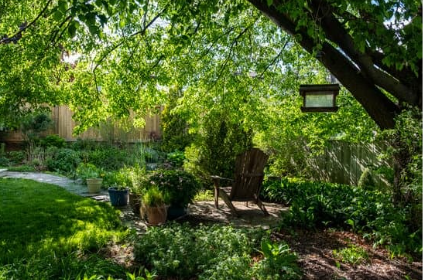 A shady oasis: backyard DIY landscaping ideas