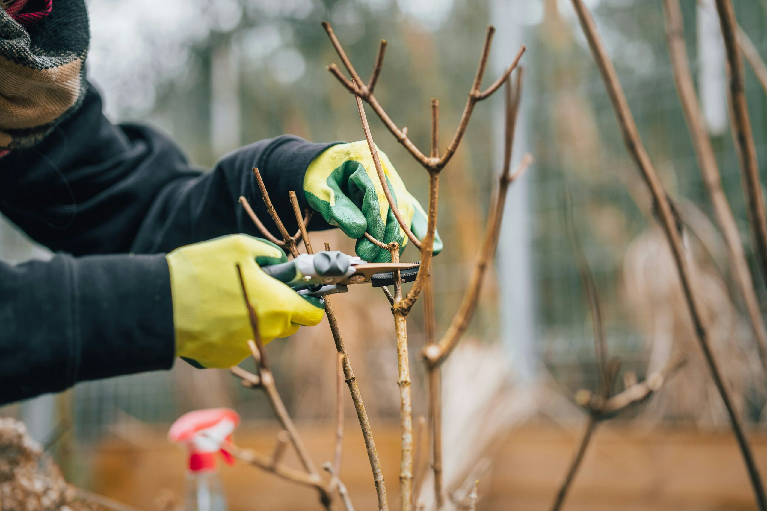 How To Spring Clean Your Garden In 5 Steps