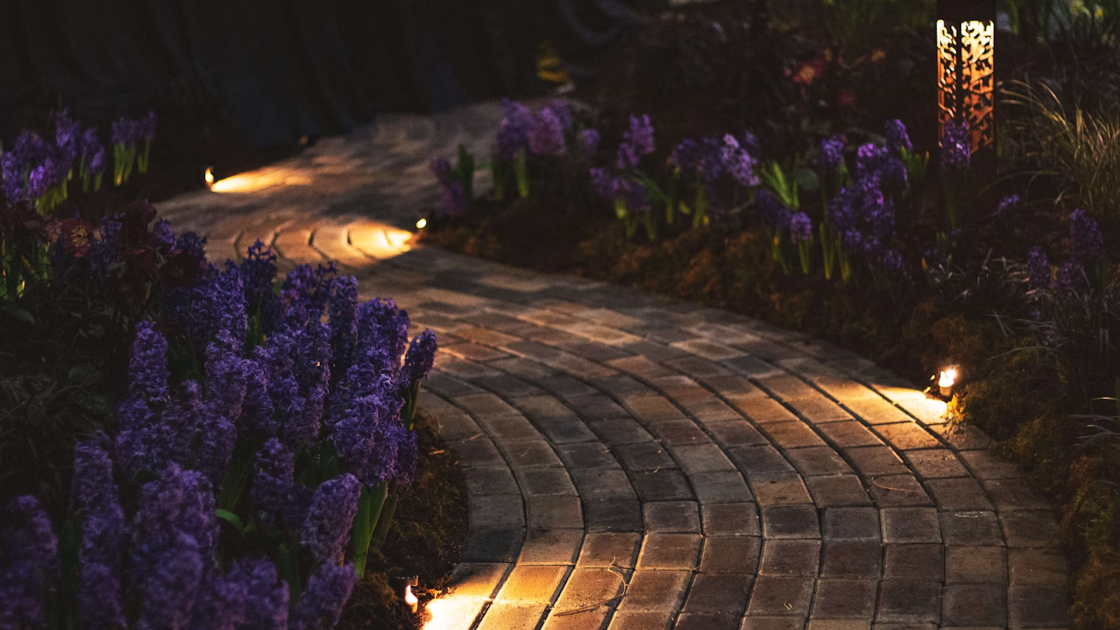 Curved garden path with lighting