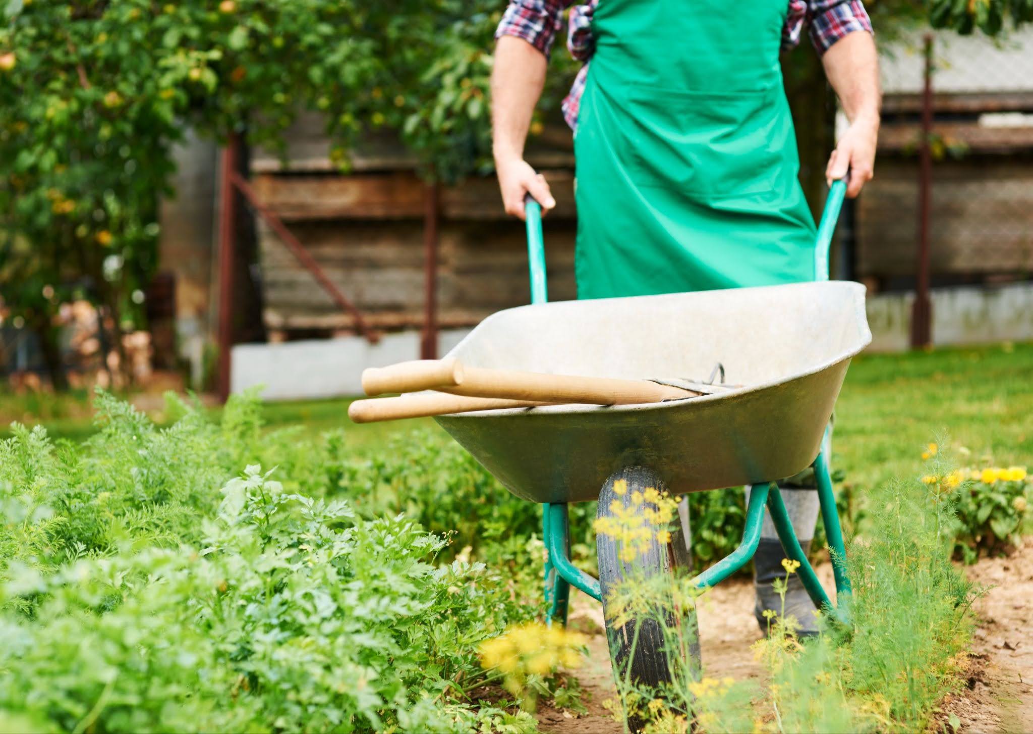 garden waste removal
